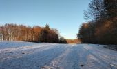 Trail Walking Saint-Paul-en-Chablais - La Chapelle d'Abondance - Photo 8