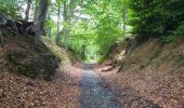 Excursión Senderismo Wavre - Bois² de l'Avocat & du Manil - Photo 2