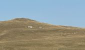 Tocht  Nasbinals - Le Puits En Velay, dernier jour, saint Chély d’Aubrac, doux braque - Photo 2