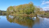 Trail Walking Brandivy - PR_56_Brandivy_AA_01_Etang-De-La-Foret_Circuit1b_20240417 - Photo 8