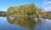 Tocht Stappen Brandivy - PR_56_Brandivy_AA_01_Circuit1b_Etang-De-La-Foret_20240417 - Photo 2