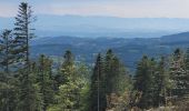 Tour Wandern Celles-sur-Durolle - Le Puy de Montoncel_T - Photo 1