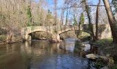 Trail Walking Chadeleuf - LES CROIX BASSES  - Photo 9