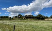 Randonnée Marche Courthézon - Le Lac Salé  - Photo 5