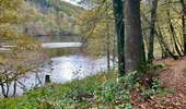 Excursión A pie Houffalize - La promenade autour du Lac de Nisramont - Photo 17