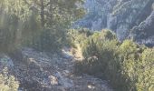 Tocht Stappen La Palud-sur-Verdon - Mayreste - Mayreste - Photo 7