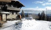 Tour Zu Fuß Neuschönau - Luchs - Photo 4