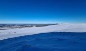 Randonnée Raquettes à neige Murat-le-Quaire - la Banne par le tenon - Photo 12