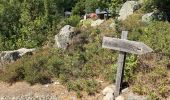 Tocht Stappen Palneca - 4 eta gr 20 Col de veldre - Campanelle Ghisoni - Photo 1