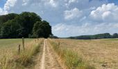 Tocht Stappen Vloesberg - La Houppe 18 Km - Photo 8