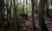 Percorso Marcia Steinbach - silberthal.mockenrein.mines.silberthal - Photo 2