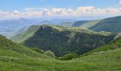 Randonnée Marche Valdrôme - Valdrome - Montagne de l Aup - Photo 11