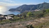 Tour Wandern Cerbère - Cerbère-Port Bou -Colera - Photo 14