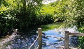 Randonnée Marche Tongres - Promenade dans la réserve naturelle de Kevie - Photo 5