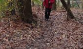 Tour Wandern Weset - Julienne - Photo 1