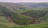 Trail On foot Emek Izrael Regional Council - Basalt Canyon - Tabor Stream - Photo 3