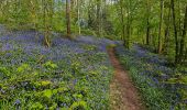 Tour Wandern Thuin - Balade dans le Bois du Grand Bon Dieu-Thuin - Photo 3