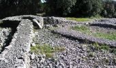 Randonnée A pied Viols-le-Fort - Circuit des dolmens de Viols-le-Fort à Cantagrils - Photo 10