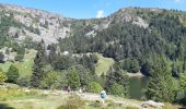 Randonnée Marche Le Valtin - Lac Vert - Lac du Forlet - Gazon du Faing - Photo 16