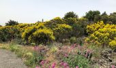 Trail On foot Adrano - Monte Minardo - Photo 2