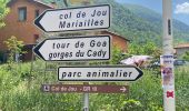 Randonnée Marche Vernet-les-Bains - Col de Jou - Photo 13