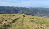 Tocht Stappen Breitenbach-Haut-Rhin - Christlegut steinberg (nouvel an) - Photo 6