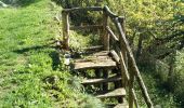 Trail Walking Capoulet-et-Junac - Le Vicdessos par Illié - Photo 13