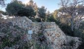 Excursión Senderismo La Londe-les-Maures - Plage de l'Argentière à Cabasson en A/R-14-01-22 - Photo 6