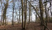 Trail On foot Hoeselt - Vrijhern Rode driehoek - Photo 4