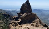 Randonnée Marche Tejeda - Pico de las Nieves (Gran Canaria) - Photo 19