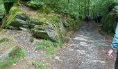 Trail Walking Monschau - Tour de Monschau 20Km - Photo 2