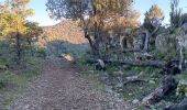 Trail Walking Quinson - verdon basse gorge via ravin ste marguerite et chapelle ste marguerite  - Photo 15