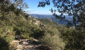 Tour Wandern Saint-Guilhem-le-Désert - Saint-Guilhem-le-Désert / Roc de la Jarre / Ermitage ND de Belle Grâce - Photo 6