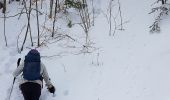 Trail Walking Le Gua - L'Eperrimont  ou l'Indien en mode hivernal - Photo 7