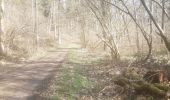Trail Walking Esneux - parc du Mary.  rond bâti . anc carrière.  arboretum . parc du mary  - Photo 12