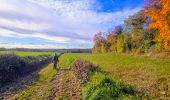 Trail Walking Parmain - Vexin - Villages et vallée du Saucerron De Parmain à  - Photo 17