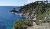 Excursión Senderismo Six-Fours-les-Plages - Les falaises du mont Salva - Photo 2