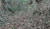 Trail Walking Saint-Aubin - Saint Aubin - Photo 1