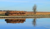 Excursión A pie Steenwijkerland - WNW WaterReijk - Kalenberg/Ossenzijl - gele route - Photo 1