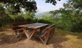 Tour Wandern Günsbach - Gunsbach - Munster - Photo 5