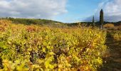 Tour Wandern Saint-Antonin-du-Var - SAINT-ANTONIN DU VAR - ENTRE MENTONE ET SALERNES - Photo 14