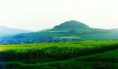 Tocht Te voet Rasdorf - Rasdorf - Rhön-Rundweg 2 - Photo 1