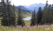 Tour Wandern Samoëns - plateau des saix . la corne . les biollaires . pointe de cupoire .  plateau des saix - Photo 4