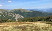 Trail Walking La Bresse - Autour du Hohneck - Photo 4