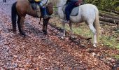 Trail Horseback riding Neuviller-lès-Badonviller - Ar direction angomont  - Photo 1
