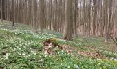 Tour Wandern Braine-l’Alleud - rando Françoise 2023.04.14 - Photo 3