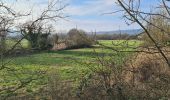 Trail Walking Pont-à-Mousson - Pont A Mousson les étangs depuis le port fluvial - Photo 5