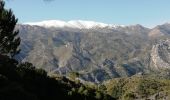 Tour Wandern Lentegí - les arbres petrifies - Photo 3