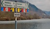 Tour Zu Fuß Hirschhorn - Rundwanderweg Hirschhorn Igelsbach 2: Langer-Wald-Weg - Photo 3