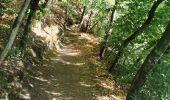 Tour Wandern Le Bono - boucle Bono, Ste Savoye, St Goustan  - Photo 11